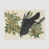 Audubon Raven Bird Classic Artwork Seidenpapier (Vorderseite)