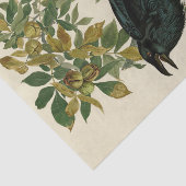 Audubon Raven Bird Classic Artwork Seidenpapier (Ausschnitt)