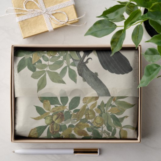 Audubon Raven Bird Classic Artwork Seidenpapier (Geschenk)