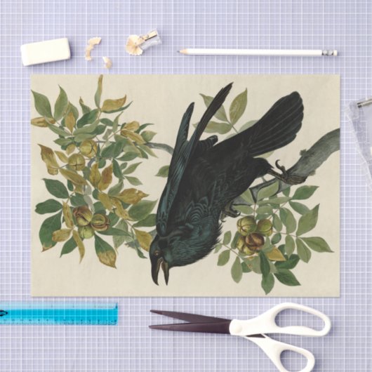 Audubon Raven Bird Classic Artwork Seidenpapier (Handwerk)