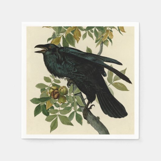Audubon Raven Bird Classic Artwork Serviette (Vorderseite)