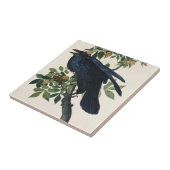 Audubon Raven Bird Klassische Malerei Fliese (Seite)