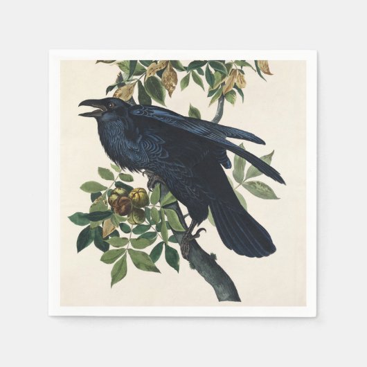 Audubon Raven Bird Klassische Malerei Serviette (Vorderseite)