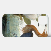 Audubon: Reddish Egret oder Lila Heron Case-Mate iPhone Hülle (Rückseite (Horizontal))