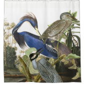 Audubon Reiher-u. Tauben-Vogel-Tierduschvorhang Duschvorhang (Vorderseite)