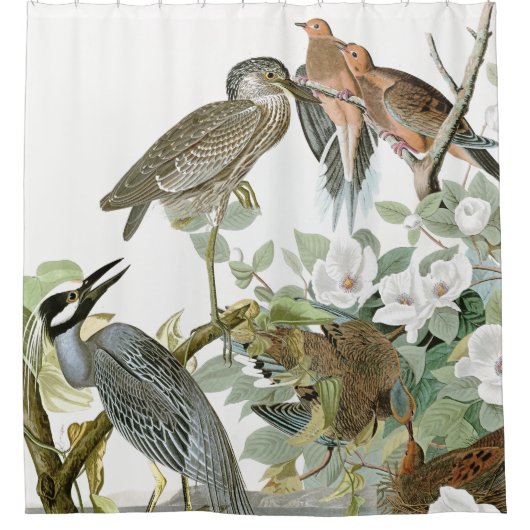 Audubon Reiher-u. Tauben-Vogel-Tierduschvorhang Duschvorhang (Vorderseite)