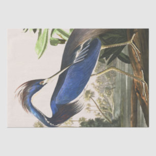 Audubon Reiher-Vogel-Tier-Gewebe-Papier Seidenpapier