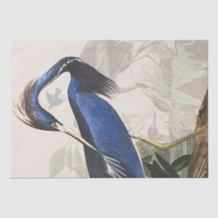 Audubon Reiher-Vogel-Tier-Gewebe-Papier Seidenpapier