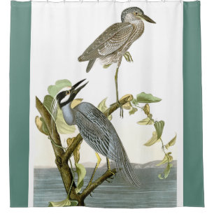 Audubon Reiher-Vogel-TierSumpfgebiet-Duschvorhang Duschvorhang