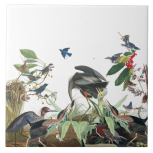Audubon Reiher Vögel Wildlife Collage Fliese
