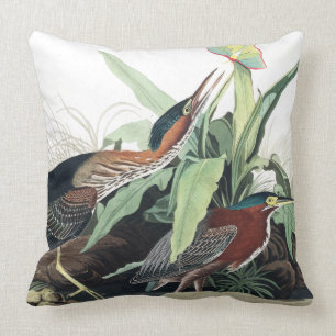 Audubon Reiher Vögel Wildtiere Tier Wurf Kissen