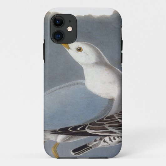 Audubon: Ring-Berechnete Möve Case-Mate iPhone Hülle (Rückseite)