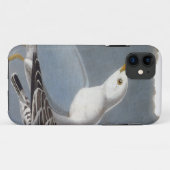 Audubon: Ring-Berechnete Möve Case-Mate iPhone Hülle (Rückseite (Horizontal))