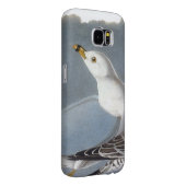 Audubon: Ring-Berechnete Möve Case-Mate Samsung Galaxy Hülle (Rückseite/rechts)