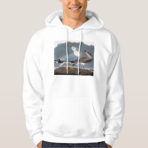 Audubon: Ring-Berechnete Möve Hoodie