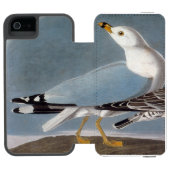 Audubon: Ring-Berechnete Möve Incipio iPhone Geldbeutel-Hülle (Folio Geöffnet)