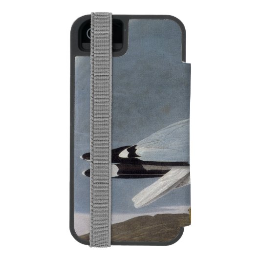 Audubon: Ring-Berechnete Möve Incipio iPhone Geldbeutel-Hülle (Folio Rückseite)