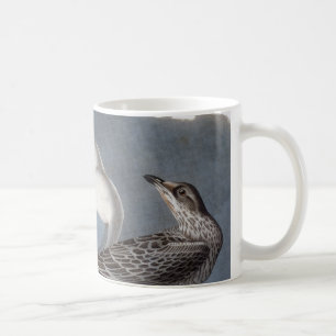 Audubon: Ring-Berechnete Möve Kaffeetasse