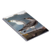 Audubon: Ring-Berechnete Möve Notizblock (Rechte Seite)