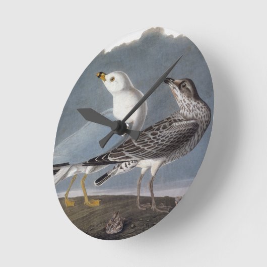 Audubon: Ring-Berechnete Möve Runde Wanduhr (Winkel)