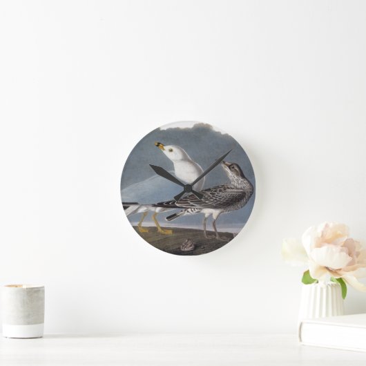 Audubon: Ring-Berechnete Möve Runde Wanduhr (Zuhause)