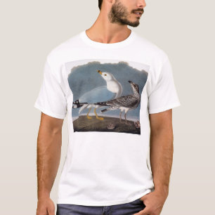Audubon: Ring-Berechnete Möve T-Shirt