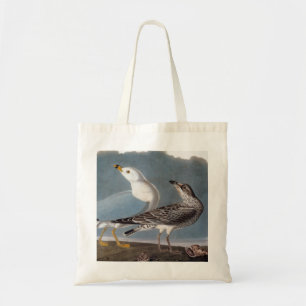 Audubon: Ring-Berechnete Möve Tragetasche