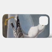Audubon: Ring-Billed Gull Case-Mate iPhone Hülle (Rückseite (Horizontal))