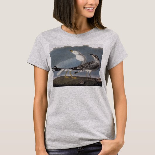 Audubon: Ring-Billed Gull T-Shirt (Vorderseite)