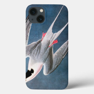 Audubon: Rosa Seeschwalbe Case-Mate iPhone Hülle