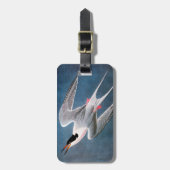Audubon: Rosa Seeschwalbe Gepäckanhänger (Vorderseite vertikal)