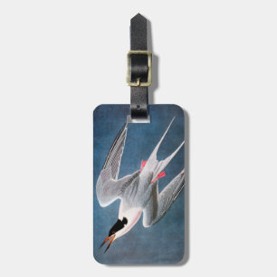 Audubon: Rosa Seeschwalbe Gepäckanhänger