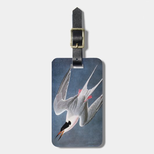 Audubon: Rosa Seeschwalbe Gepäckanhänger (Vorderseite vertikal)