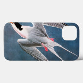 Audubon: Roseate Tern Case-Mate iPhone Hülle (Rückseite (Horizontal))