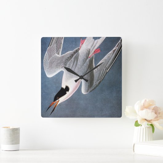 Audubon: Roseate Tern Quadratische Wanduhr (Zuhause)