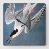 Audubon: Roseate Tern Quadratische Wanduhr (Vorderseite)