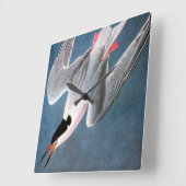 Audubon: Roseate Tern Quadratische Wanduhr (Winkel)