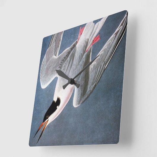 Audubon: Roseate Tern Quadratische Wanduhr (Winkel)