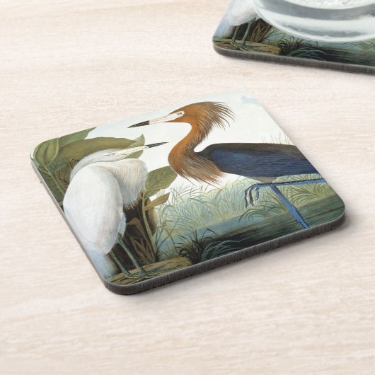 Audubon: Rötlicher Reiher oder lila Reiher Getränkeuntersetzer (Linke Seite)