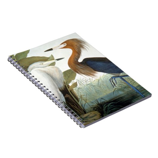 Audubon: Rötlicher Reiher oder lila Reiher Notizblock (Rechte Seite)
