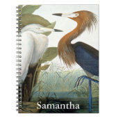 Audubon: Rötlicher Reiher oder lila Reiher Notizblock (Vorderseite)