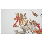 Audubon-Ruby-Throated Hummingbirds mit Blume Stoff (Fat Quarter (45,7 x 55,9 cm))