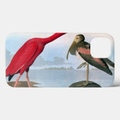 Audubon: Scarlet Ibis Case-Mate iPhone Hülle (Rückseite (Horizontal))