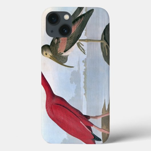 Audubon: Scarlet Ibis Case-Mate iPhone Hülle (Rückseite)