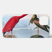 Audubon: Scarlet Ibis Case-Mate iPhone Hülle (Rückseite (Horizontal))