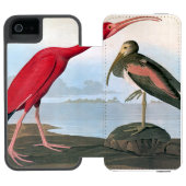 Audubon: Scharlachrot IBIS Incipio iPhone Geldbeutel-Hülle (Folio Geöffnet)