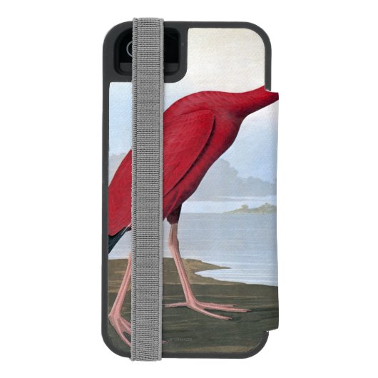 Audubon: Scharlachrot IBIS Incipio iPhone Geldbeutel-Hülle (Folio Rückseite)
