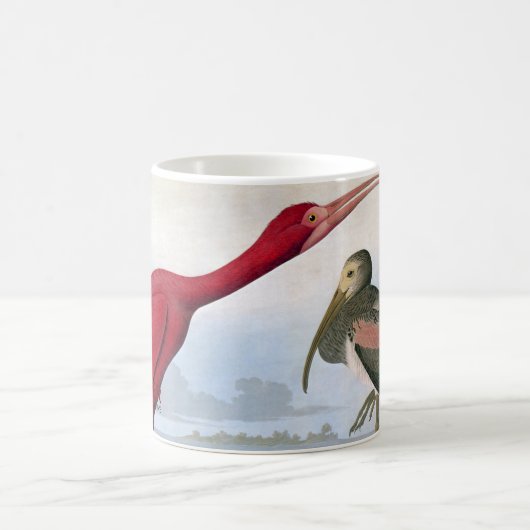Audubon: Scharlachrot IBIS Kaffeetasse (Mittel)