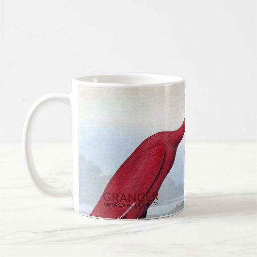Audubon: Scharlachrot IBIS Kaffeetasse (Links)