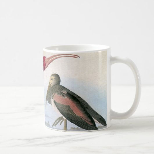 Audubon: Scharlachrot IBIS Kaffeetasse (Rechts)